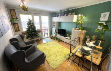 3 pokoje Grunwald Poznań