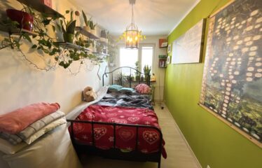 3 pokoje Grunwald Poznań