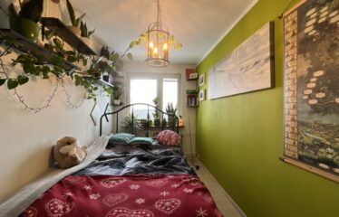 3 pokoje Grunwald Poznań