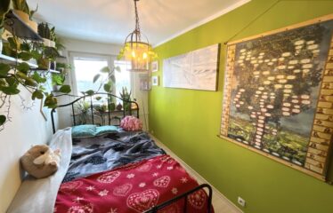 3 pokoje Grunwald Poznań